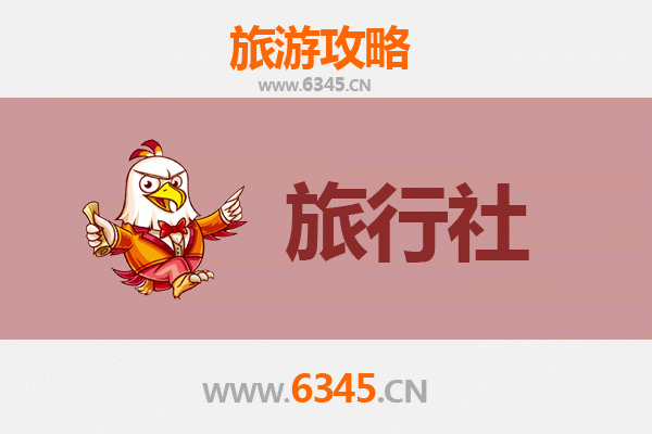 保亭毛感乡本地旅行社推荐 | 深度体验雨林秘境与黎苗文化