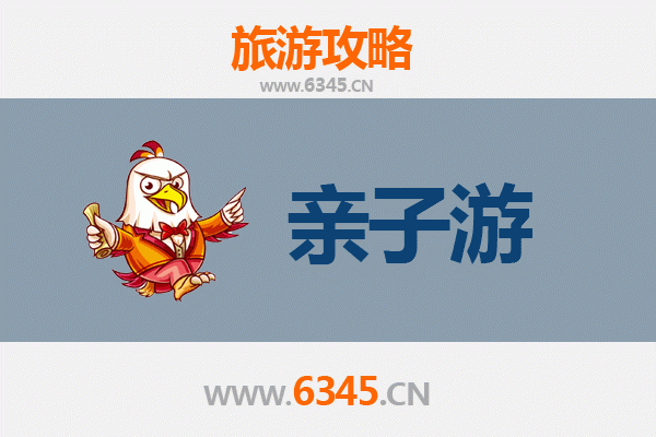 保亭毛感乡亲子游全攻略：雨林探秘与黎苗文化体验