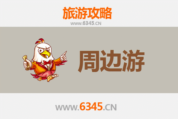 保亭毛感乡深度游：雨林探秘与黎苗文化体验全攻略