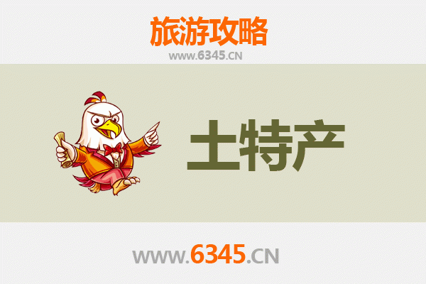 保亭毛感乡旅游必带土特产推荐清单